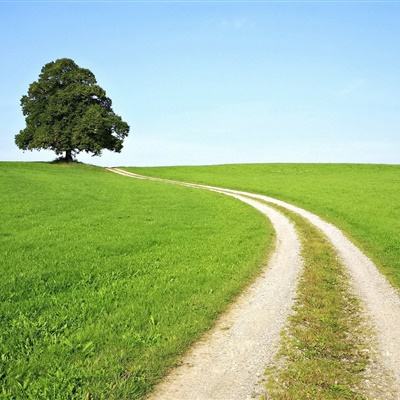 澳门·威斯尼斯wns888入口app下载