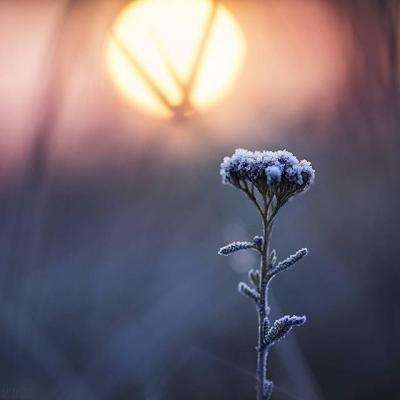 单机的打鱼游戏app下载