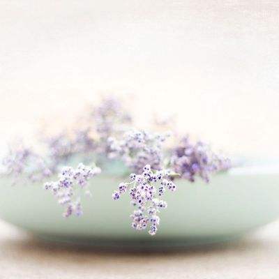 亚新手机版官方登录网站