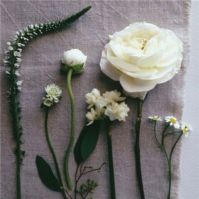 雅博app官网下载