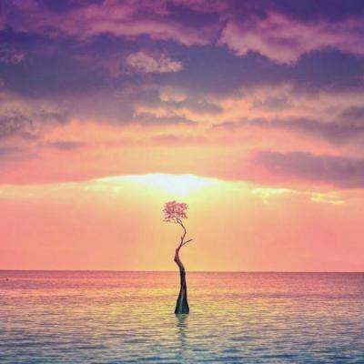 澳门·威斯尼斯wns888入口app下载