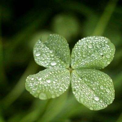 8188www威尼斯下载手机版